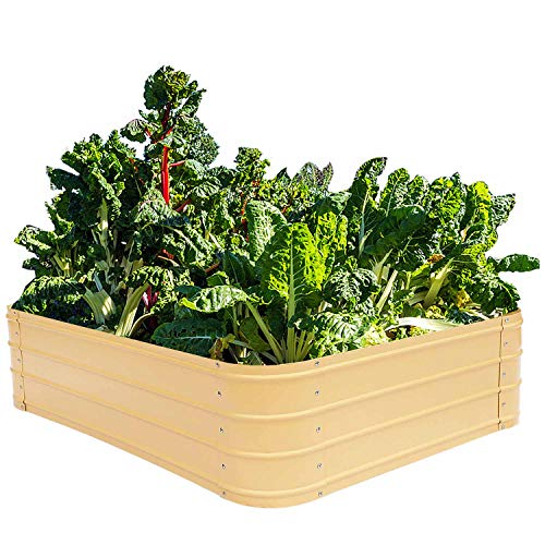 Metal Raised Garden Beds for Vegetables Outdoor Planter Box Galvanized Steel Gardening Flower Bed Kits 4x3x1 Ft (Wheat)