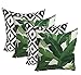 Set of 4 Indoor Outdoor Square Decorative Throw Pillows, Made of Tommy Bahama Fabric- Swaying Palms Green Tropical Palm Leaf Fabric & Black White Aztec Geometric, Choose Size (20
