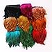AWAYTR Rooster Feather Trim Width 5-7 inches Craft Feather Fringe Trim Pack of 5 Yards (Red)
