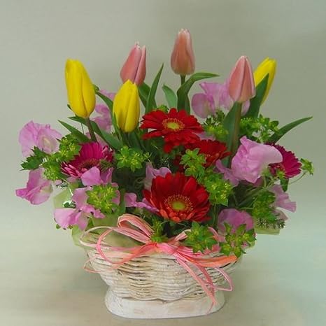 Amazon 花想久里 はなおくり カラフル チューリップ アレンジ 生花 バレンタインデー ホワイトデー 出荷は今から3月いっぱい 春だけの花 フラワーギフト ご褒美 にも 今が 旬 の ちゅーりっぷ メイン に ガーベラ 小花 で 可愛く 明るく アレンジメント フラワー