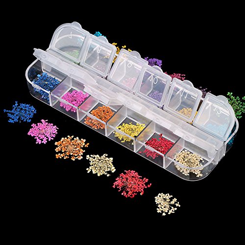 EYX Formula Set of 24 Different Colors Five Flower Variety Flower DIY Nail Art 3D Nail Stickers Nail Supplies Dried Flowers Nail Decoration Tool for Manicure
