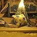 Flever Dollhouse Miniature DIY House Kit Creative Room With Furniture and Glass Cover for Romantic Artwork Gift( Dream of Star River )