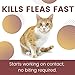 Adventure Plus Triple Flea Protection for Cats, 5-9 lbs, 8 Months, 8 Dosesthumb 3