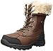 Lugz Women's Tambora Winter Boot, Vintage Brown/Black/Cream, 10 M US
