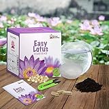 Grow Buddha Lotus Kit – Complete Beginner Seed Starter Kit with Vase & view 3