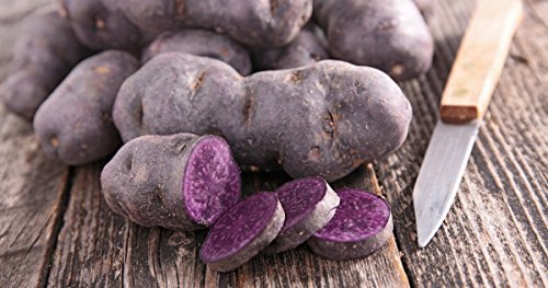 Simply Seed - 15 Piece - Purple Peruvian Potato Seed - Non GMO - Organic Grown - Order Now for Spring Planting