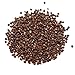 Spice Jungle Grains of Paradise - 1 oz.