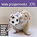 Little Fun Wall Calendar 2016 - Gerbil Calendar - Animal Calendar By Helma by