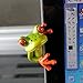 Secaden Resin Creative 3D Craft Frog Decoration Office Desk Computer Decoration Gift (Side Style)