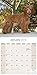 Poodle Calendar - Only Dog Breed Poodle Calendar - 2016 Wall calendars - Dog Calendars - Monthly Wall Calendar by Avonside