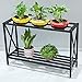 2-Tier Iron Pot Shelves, Plant Stand, Plant Shelf Holder, Flower Display Storage Rack for Outdoor, Indoor, Balcony 26.7” x 9” x 27.5”thumb 4