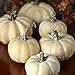 Package of 6 Fall Artificial Assorted Harvest Off White Pumpkins for Halloween, Fall and Thanksgiving Decorating
