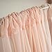 Tableclothsfactory 10FT Fire Retardant Blush Sheer Voil Curtain Panel Backdrop - Premium Collection