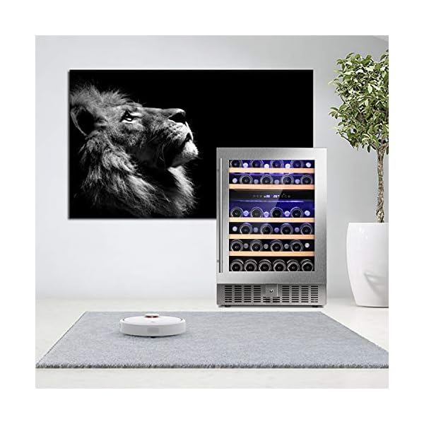 Antarctic-Star-24-Wine-Cooler-Beverage-Refrigerator-Beer-Mini-Fridge-46-Bottles-Dual-Zone-Built-in-Freestanding-Stainless-Steel-Double-Layer-Tempered-Digital-Temperature-Memory-Function-Glass-Door