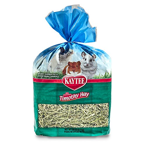 Kaytee Timothy Hay, 96-oz bag