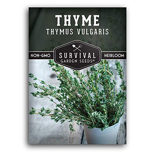 Survival Garden Seeds Thyme Seed for Planting Packet with