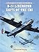 B-24 Liberator Units of the CBI (Combat Aircraft) by Edward M. Young, Mark Styling