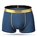 Men's Underwear Micro Modal Trunks