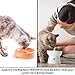 Cat Bowl with Stand - Suitable Eating Height for Pets – Easy Cleaning for You – Eco-Friendly, Raised Food Bowl – Stress-Free Meal time for Your Cats - Stoneware Feeding Station