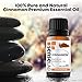 SenseLAB Cinnamon Essential - 100% Pure Extract Cinnamon Oil Therapeutic Grade - Outdoor Protection - Diffuse to Uplift Mood and Ease Tension (10 ml)