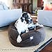 Majestic Pet 40 Inch Suede Calming Dog Bed Washable 40x29x9 (Inch)– Cozy Soft Round Donut Dog Bed with Spine Support for Dogs to Rest Their Head - Pet Bed Large – Stone