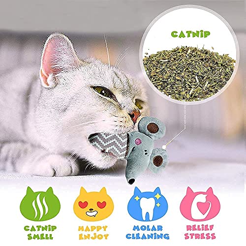 AZOFFYIU Catnip Toys Kitten Supplies Interactive Catnip Toys for Indoor Cats Squeaky Crinkle Catnip Toy Gift for Cat Lovers Dental Health Chew Toy Set of 10 with 5pcs Silvervine Sticks