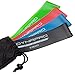 DYNAPRO Resistance Bands- Mini Precision Loop Exercise Bands with E-Quickstart Workout Guide (Black-Green-Red-Blue)