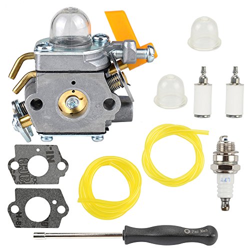 Buckbock 308054034 308054014 Carburetor with Tune Up Kit for Ryobi RY09053 RY09055 RY09056 RY08554 RY09907 RY28000 RY28005 RY28025 RY28065 Brushcutter Leaf Blower Vacuum