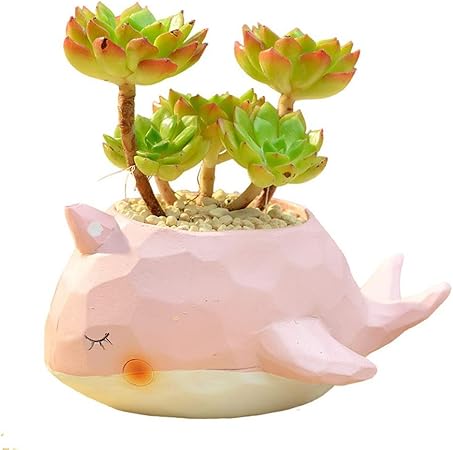 Amazon Com Zhky Cute Little Animals Resin Plant In Vase Mini Pots Flowerpot Desktop Creative Home Decor Cartoon Vase Color Rosado Garden Outdoor