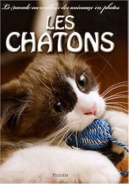 Les  chatons