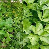 Huerto urbano para todos: Guía completa para cultivar tus propios ...