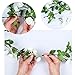 Li Hua Cat Rose Garland Artificial Rose Vine with Green Leaves 63 Inch Pack of 3 Flower Garland For Home Wedding Decoration (pink)
