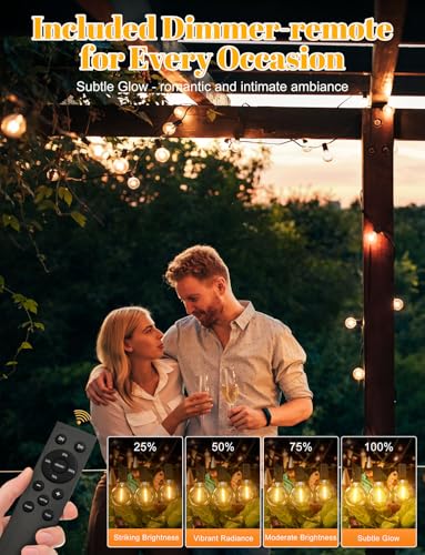 LUCUHM 30M 100FT Festoon Lights Outdoor with Remote – LED Garden String Festoon Lights Mains Powered – Dimmable Garden Light Outdoor Waterproof with Timer for Patio Gazebo Balcony Outside