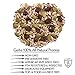 GERBS Cape Cod Antioxidant Premium Mix 2 LBS. | Top 14 Food Allergy Free | Bulk Bag | Made USA | Raw Pumpkin, Sunflower, Chia, Hemp, Flax Seeds, Dried Blueberries, Cranberries, Raisins Trail Mix
