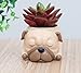 Youfui Cute Dog Flowerpot Resin Succulent Planter Desk Mini Ornament (Pug)