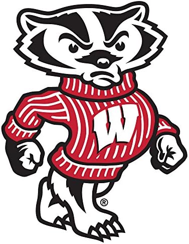 NCAA Wisconsin Badgers 12" Tall Primary Mascot Jumbo Vinyl Transfer Paper, Team Color, One Size