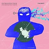 Introspection