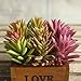 Supla 9 Pcs faux succulents unpotted Vinyl Artificial Succulent Galanthus Cactus Plants Artificial Plants 3 Colors fake succulents Flower Arrangement Craft Making