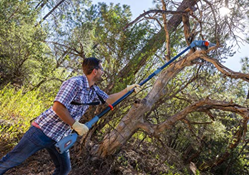 2 SENIX+CSPX5+M+Cordless+Tensioning+Branches