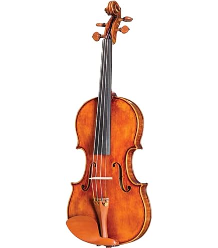 Amazon.com: D'Luca Meister Student Violin School Package 4/4 DL