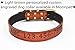 Moonpet Soft Padded Real Genuine Leather Dog Collar-Best Full Grain Heavy Duty Dog Collar-Durable Strong Adjustable for Small Medium Large X-Large Male Female Dogs Training-Light Brown 17.2-22''