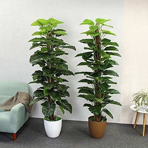 Amazon Com Tomhy Artificial Plants 150cm Dripping Guanyin