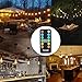 Palawell Outdoor Dimmer, 260W LED String Light Dimmer Remote Control, 100ft Range, Timmer Switch, Black
