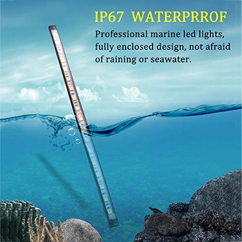 Botepon Marine Led Boat Lights, Stern Lights, Deck Light, Pontoon Lights, Bass Boat Light IP67