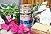 Washi Tape set 18 rolls by Tanpopo Art -Cartoon Collection | Doodle Tapes with Cute Interesting Drawings