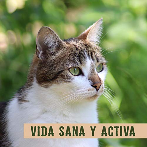 Sportmix Wholesomes Chicken Meal And Rice Formula Dry Cat Food, 15 Lb