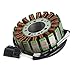 Motor Lichtmaschine Magneto Generator Engine Alternator Stator Coil Compatible with YAMAHA YZF 1000 R1 YZFR1 2002 2003