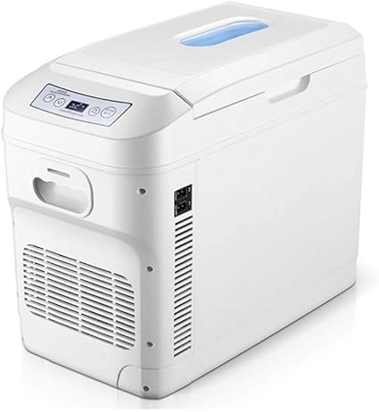 electric car cooler and warmer