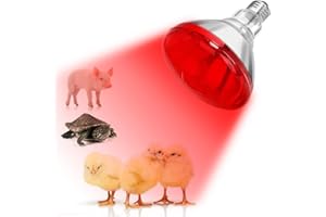 DaToo Infrared Heat Lamp Bulb for Chickens Red Heat Lamp Flood Light Heat Lamp Bulb 150 W Heating Bulbs for Brooder Coops Pets Chicks Reptiles Food Service (1 Pack)
