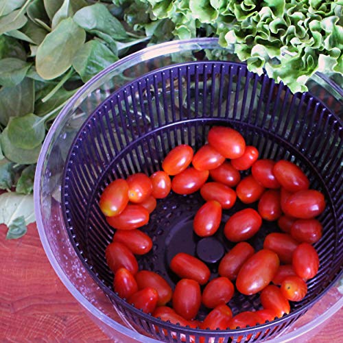 5 Totally+Honest+Food+Vegetable+Collapsible+Storage+Simple